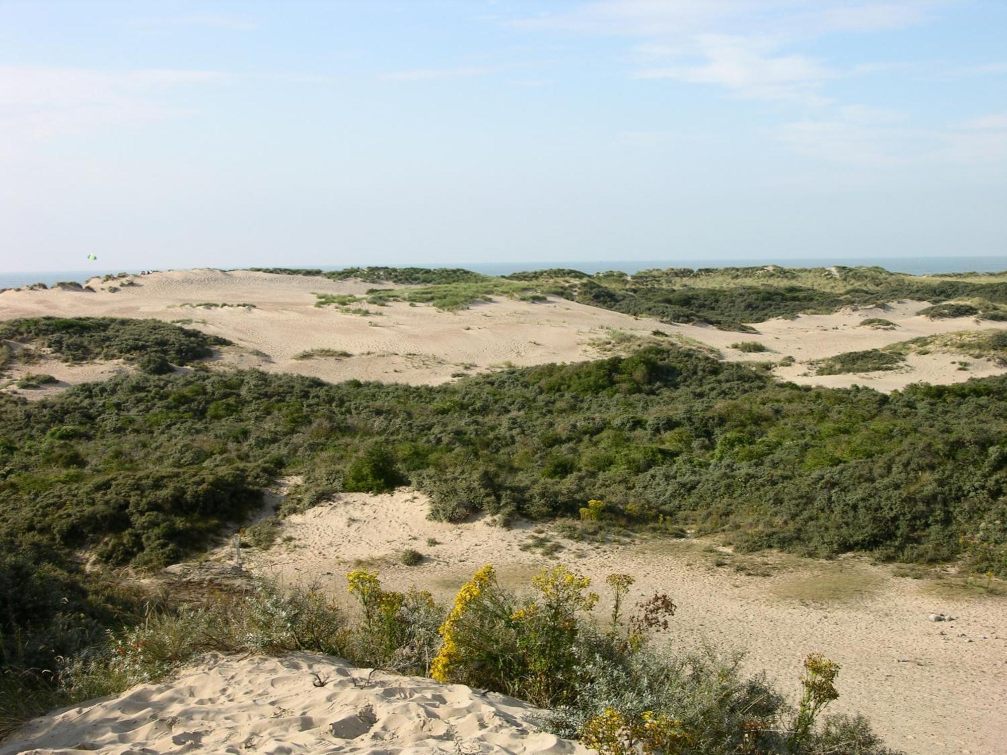 Hotel Carnac Koksijde Ngoại thất bức ảnh